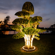 Outdoor Spotlight For Tree