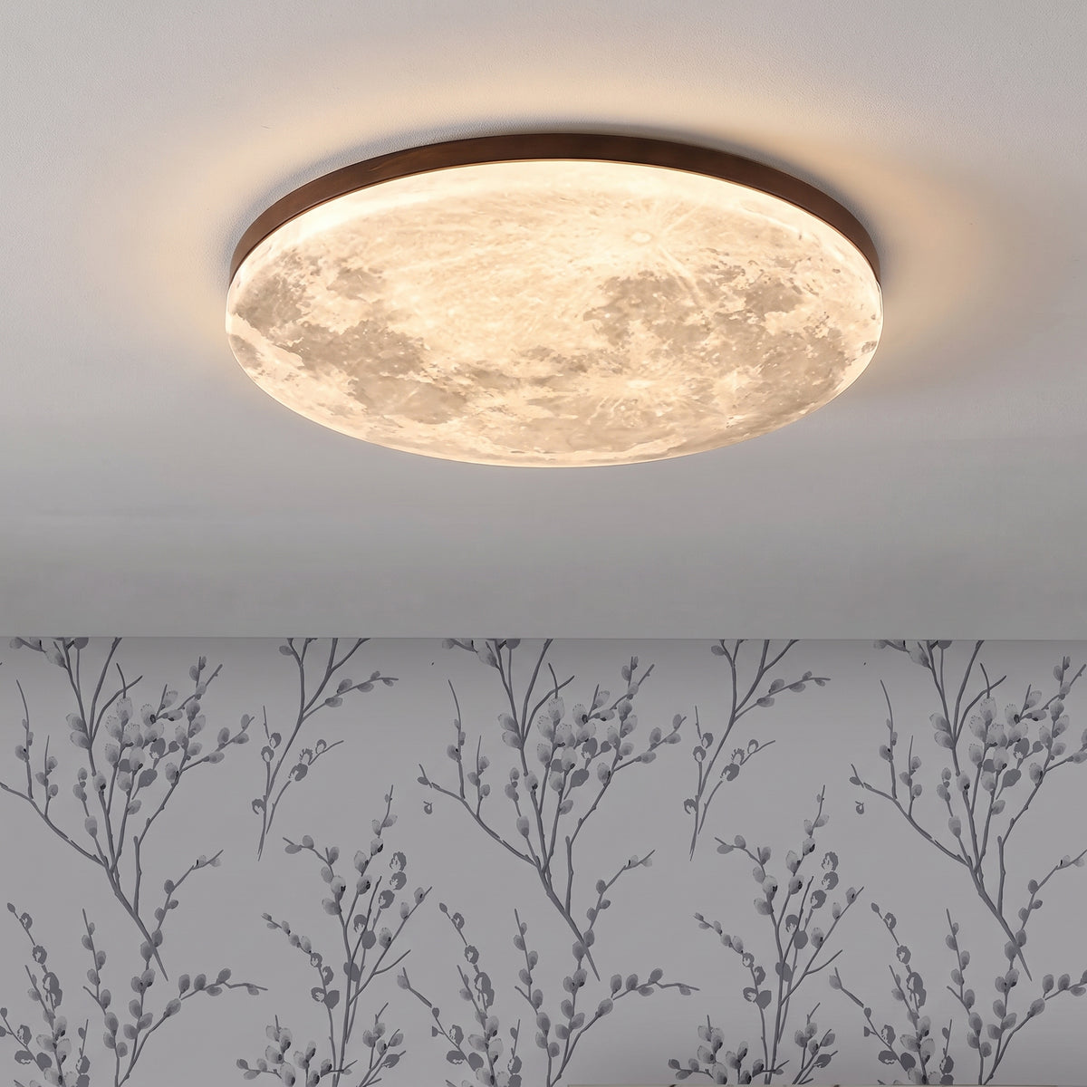 Moon Ceiling Light