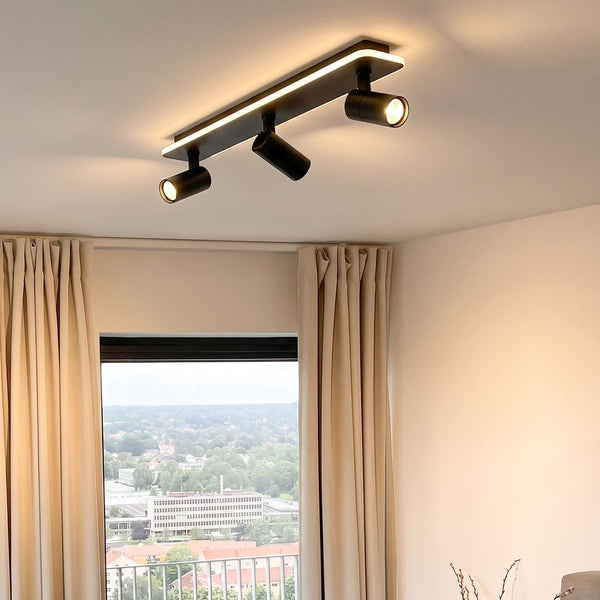 Multiple Spot Ceiling Light