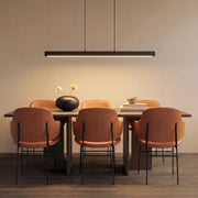 Scandibeam Pendant Light