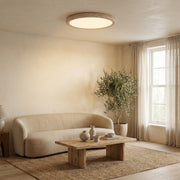 Stone Ceiling Light